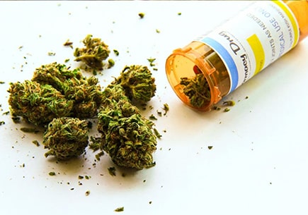 Marijuana and drug citations